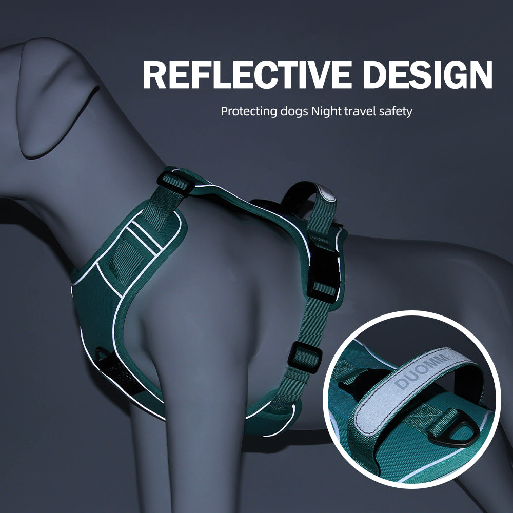Hands-Free Rope Dog Leash