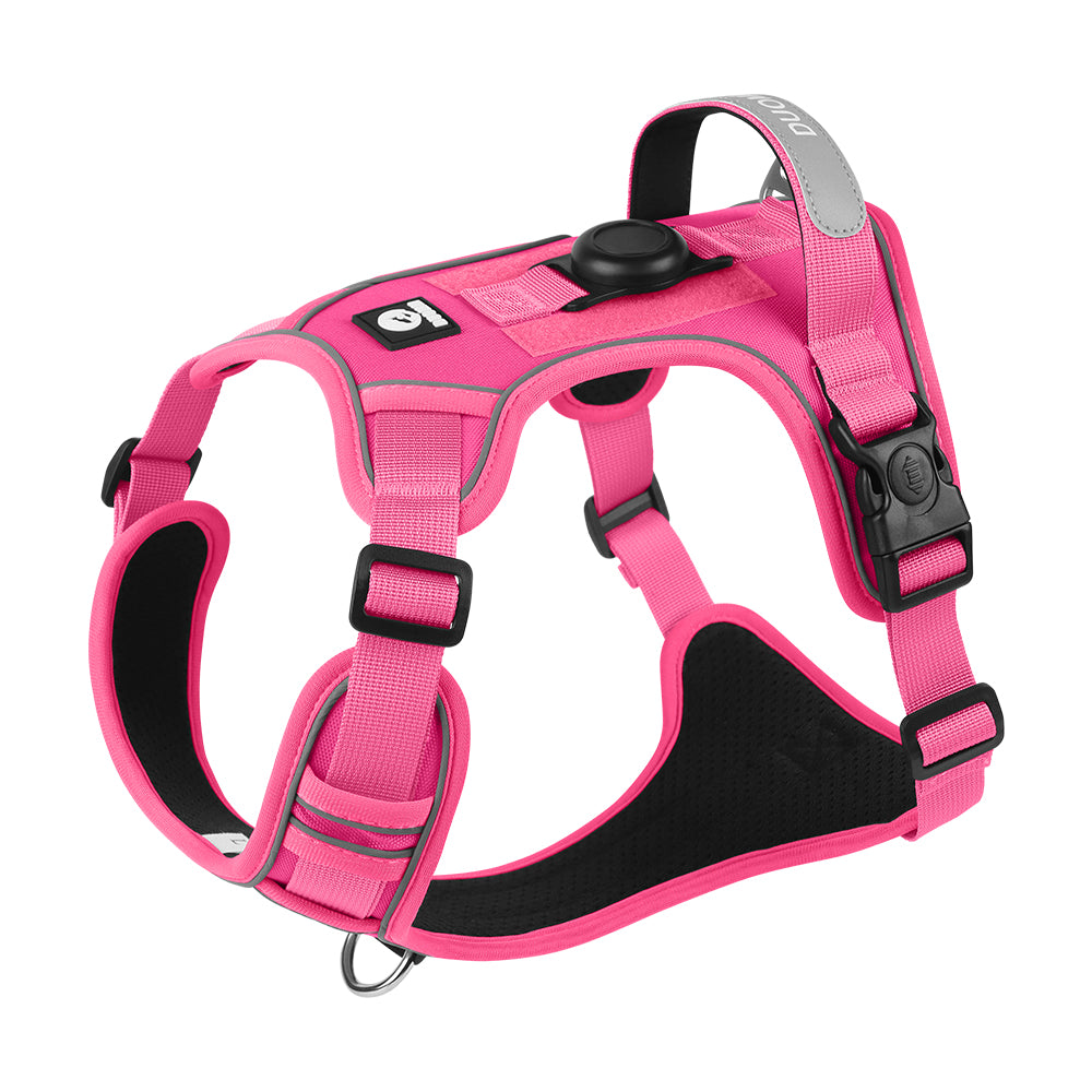 Hands-Free Rope Dog Leash