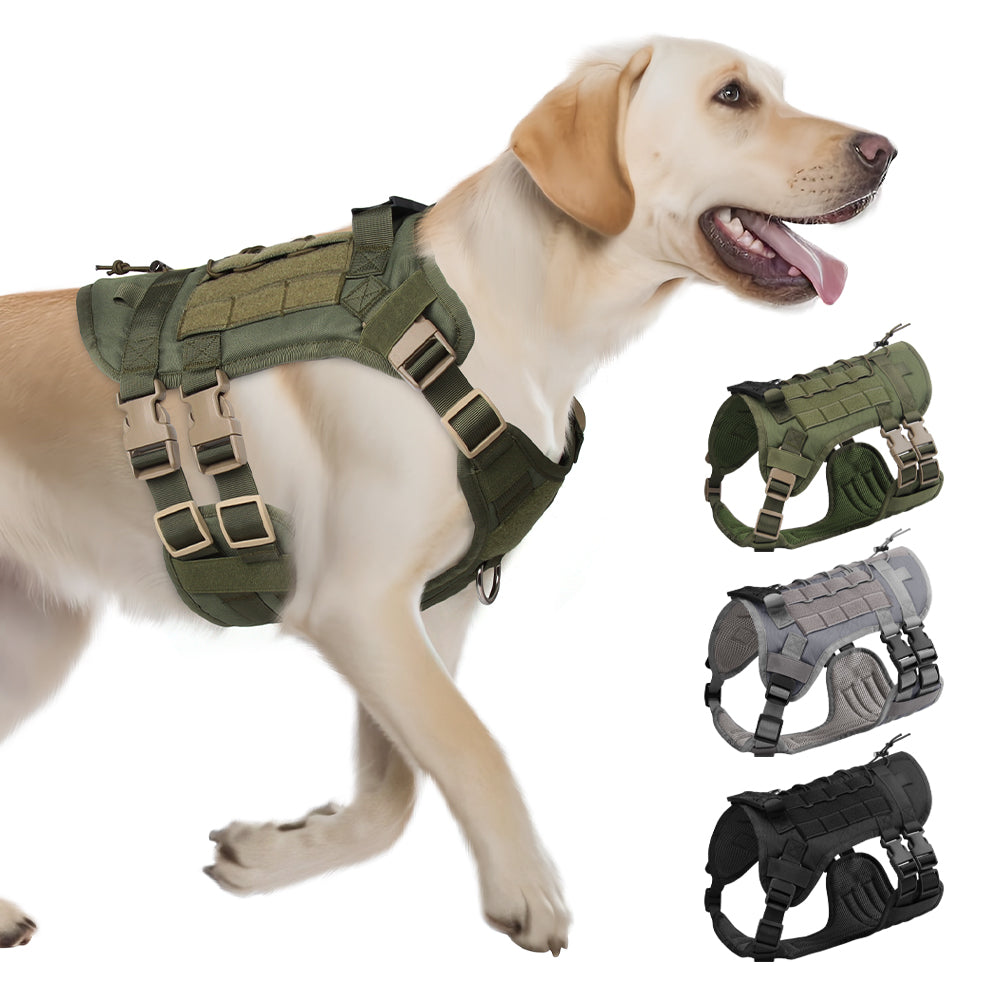 Multifunctional outdoor tactical chest and back