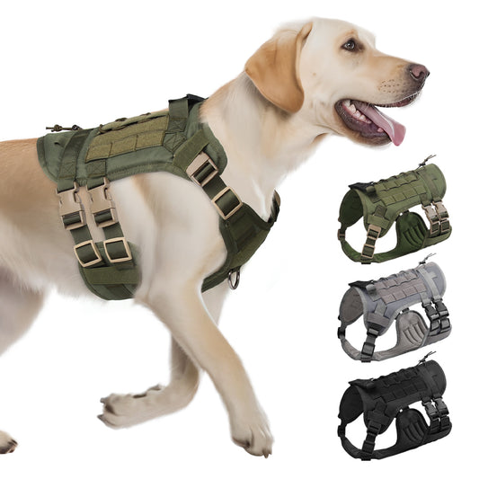 Multifunctional outdoor tactical chest and back