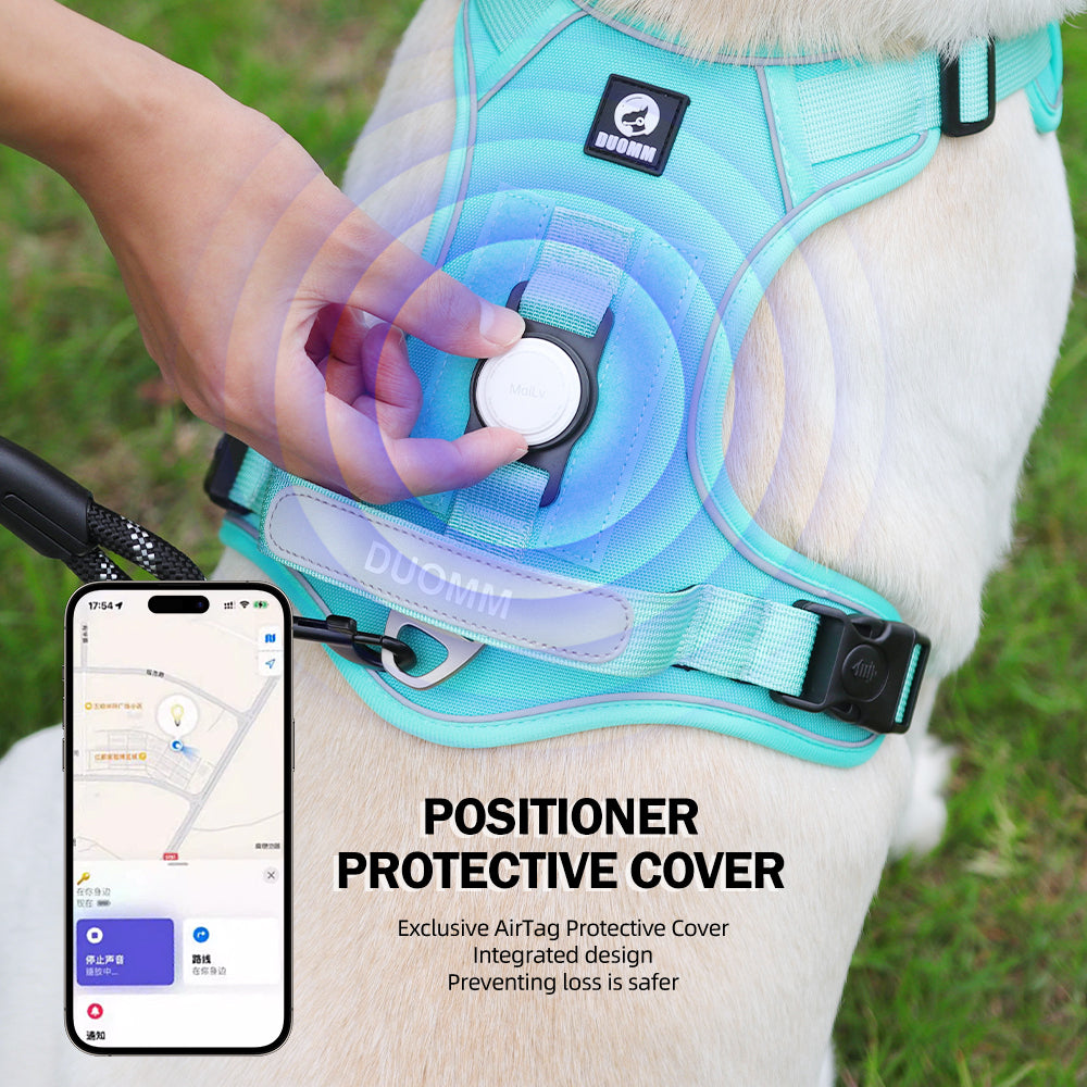 Hands-Free Rope Dog Leash