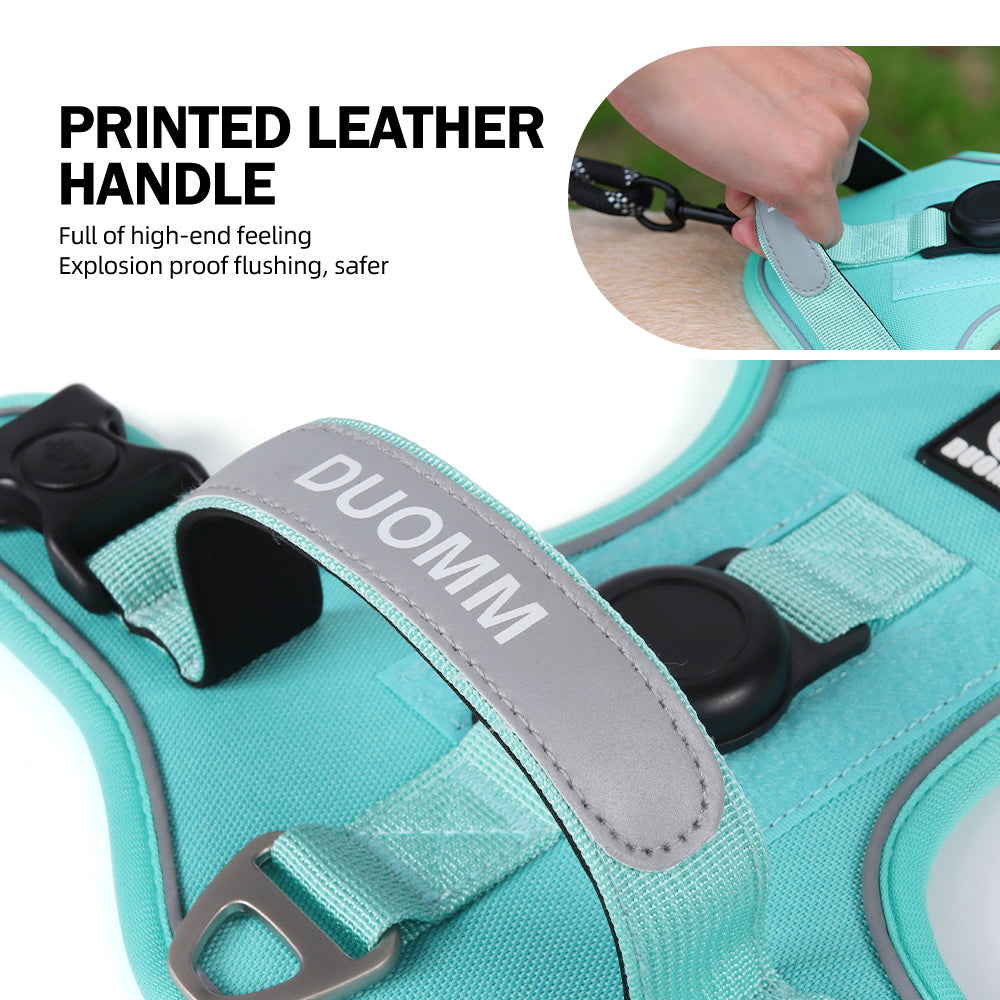 Hands-Free Rope Dog Leash
