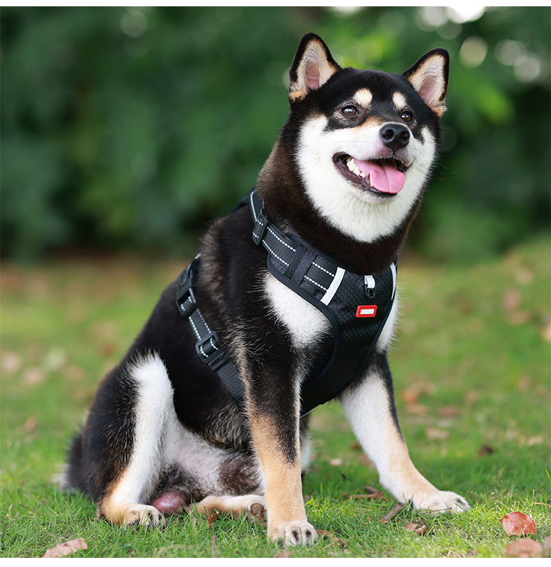 No-Pull Dog Harness