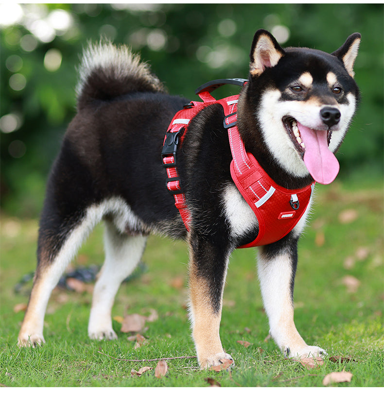 No-Pull Dog Harness