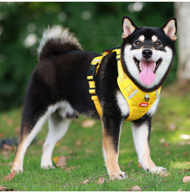 No-Pull Dog Harness