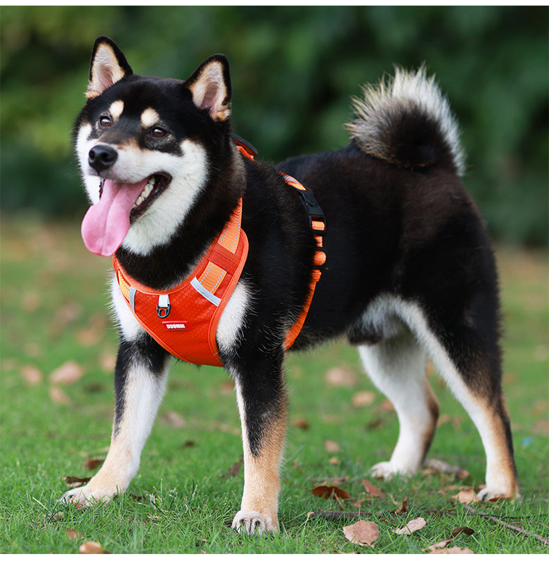 No-Pull Dog Harness