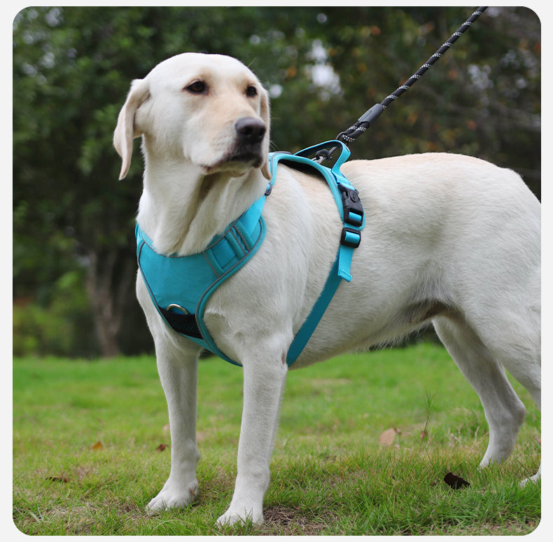 Hands-Free Rope Dog Leash