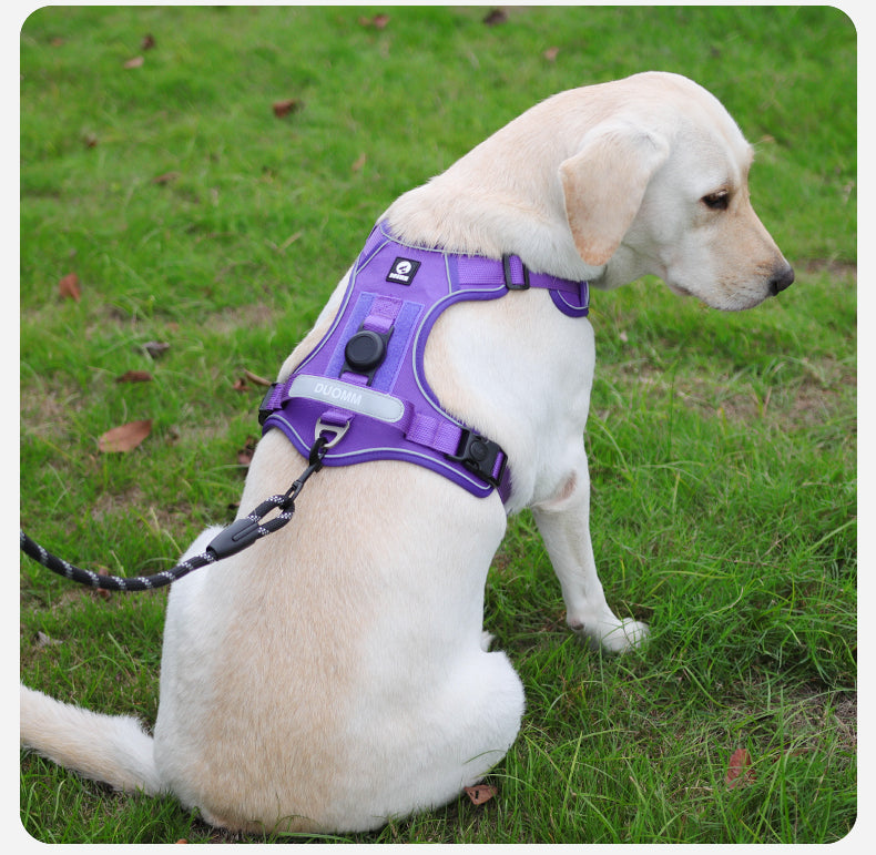 Hands-Free Rope Dog Leash