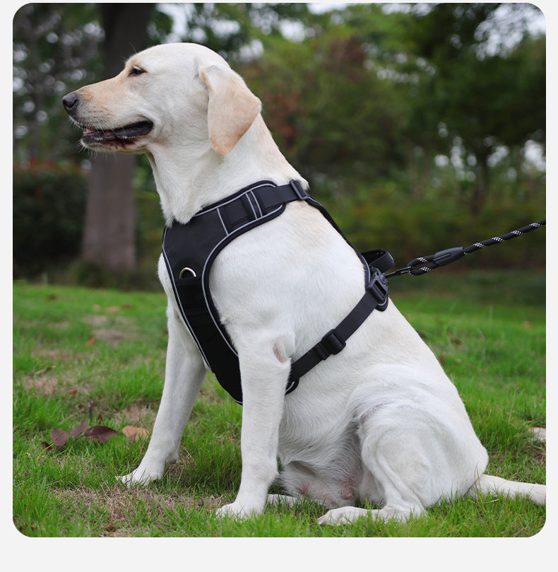 Hands-Free Rope Dog Leash