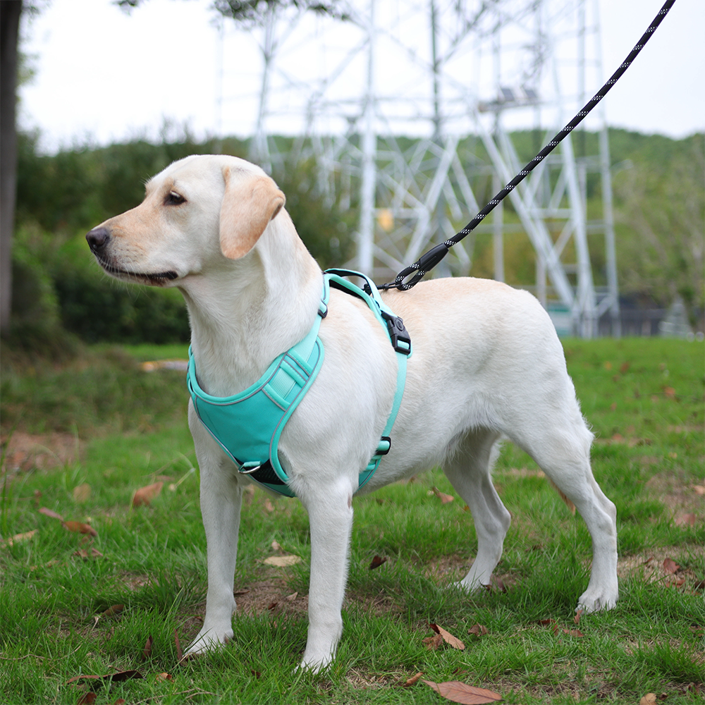 Pet harness/carryer for large dogs, explosion-proof and anti-lost.