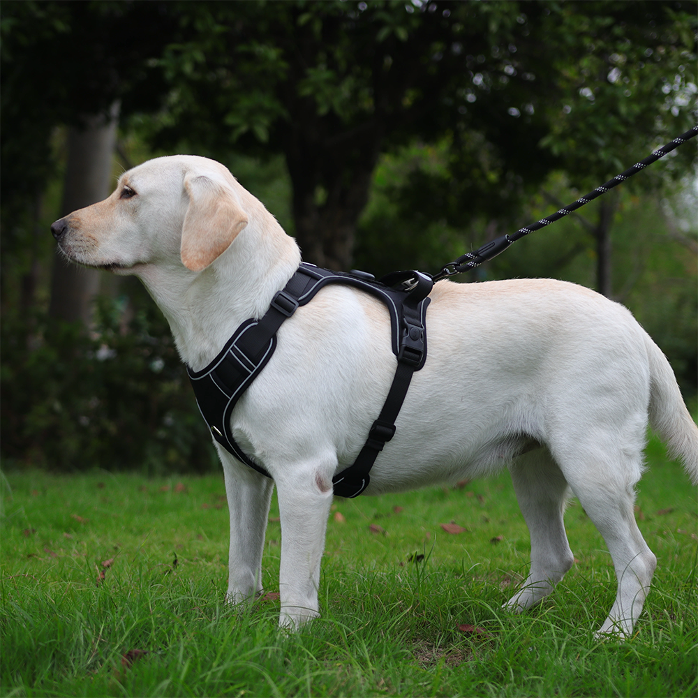 Pet harness/carryer for large dogs, explosion-proof and anti-lost.