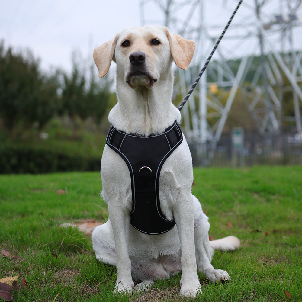 Pet harness/carryer for large dogs, explosion-proof and anti-lost.