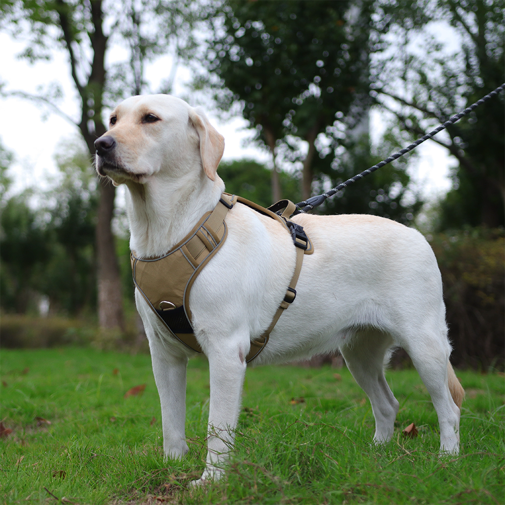 Pet harness/carryer for large dogs, explosion-proof and anti-lost.